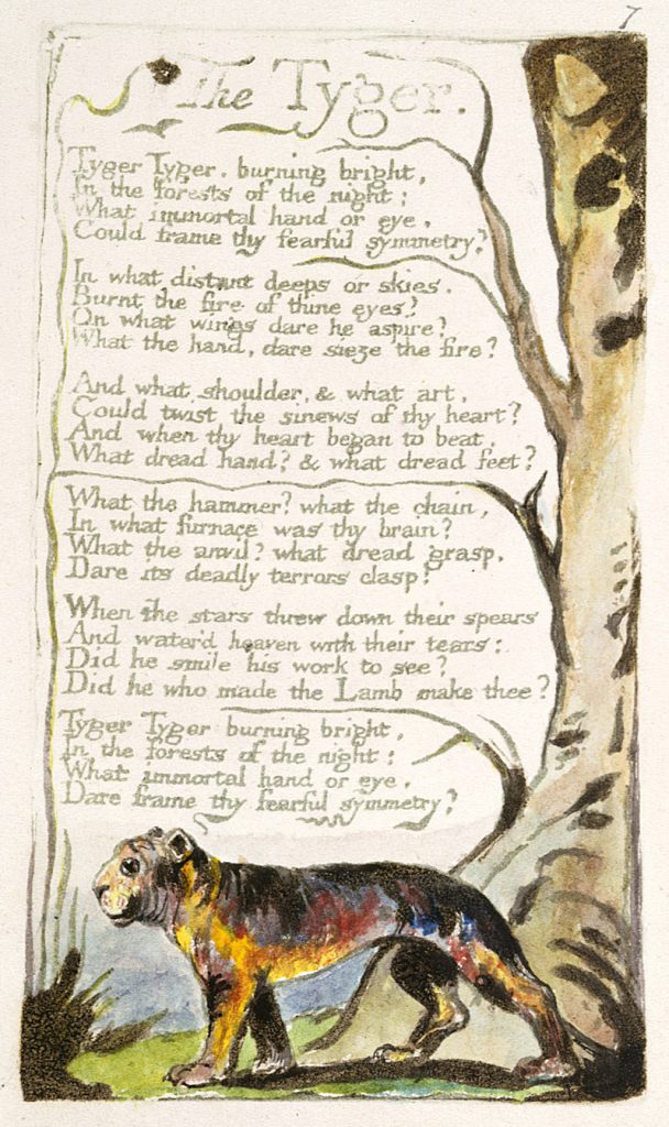 Blake's illustration of The Tyger