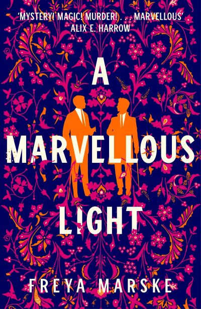 A Marvellous Light book cover