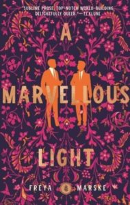 Book cover for A marvellous Light