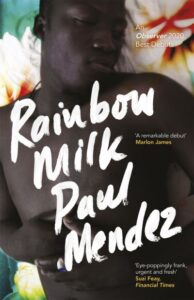 Rainbow milk book cover