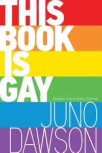 This book is gay book cover